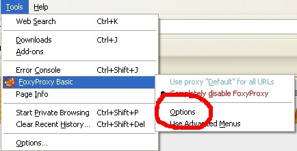 foxyproxy options